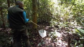 WhatsApp Image 2021-05-07 at 17.00.56