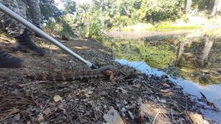 WhatsApp Image 2021-05-20 at 12.07.35