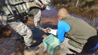 WhatsApp Image 2021-05-20 at 12.07.36