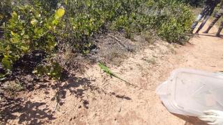 WhatsApp Image 2021-05-20 at 12.08.18 (1)