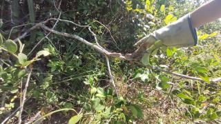 WhatsApp Image 2021-05-20 at 12.08.19 (1)