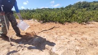 WhatsApp Image 2021-05-20 at 12.08.20 (4)