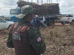 WhatsApp Image 2021-05-28 at 14.51.39