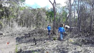 WhatsApp Image 2021-05-28 at 14.51.43