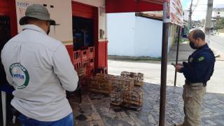 IMG-20210719-WA0016 (1)