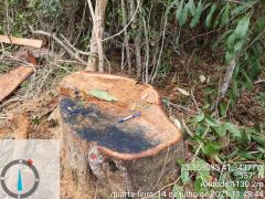 PHOTO-2021-07-14-13-31-19 (1)