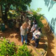 Microchipagem em serpentes