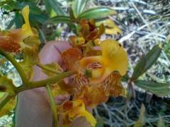 IMG_20210803_084122730_HDR