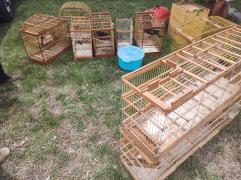 WhatsApp Image 2021-02-18 at 17.08.32