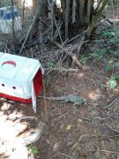 WhatsApp Image 2021-08-11 at 13.50.45