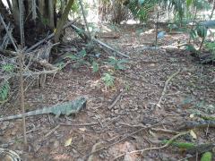 WhatsApp Image 2021-08-11 at 13.50.49