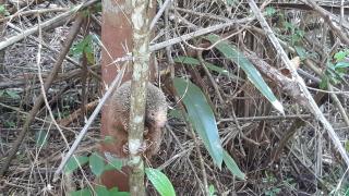 WhatsApp Image 2021-08-12 at 17.50.40