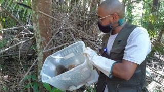 WhatsApp Image 2021-08-12 at 17.50.42