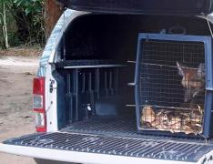 WhatsApp Image 2021-09-02 at 10.24.11