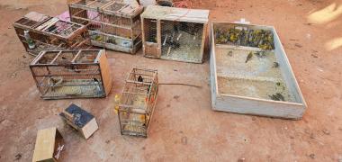 WhatsApp Image 2021-09-11 at 17.36.50