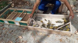 WhatsApp Image 2021-09-12 at 15.11.38