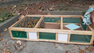 WhatsApp Image 2021-09-12 at 15.12.22