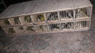 WhatsApp Image 2021-10-15 at 10.09.46