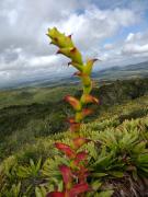 WhatsApp Image 2021-10-26 at 12.18.17 (3)