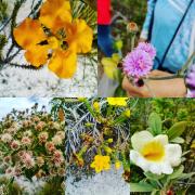 WhatsApp Image 2021-10-26 at 12.21.15 (1)