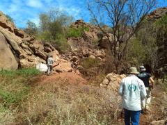 WhatsApp Image 2021-11-10 at 18.13.12 (1)