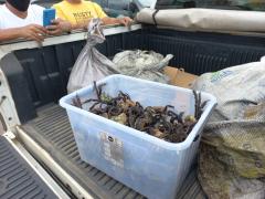 Operação Defeso 2022