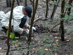 Operação Defeso 2022