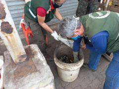 Operação Defeso 2022