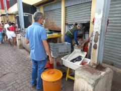 Operação Defeso 2022