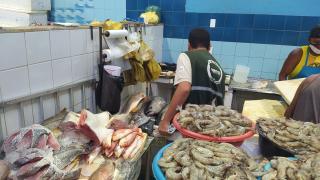 Operação Defeso 2022