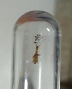 WhatsApp Image 2022-01-09 at 08.45.05