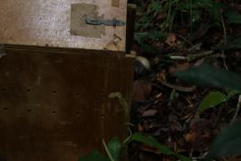 Soltura em ASAS Cachoeira 1