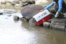 Soltura em ASAS Cachoeira 1