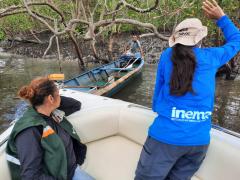 Caranguejo-uçá - Defeso - Andada 2022