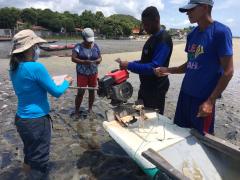 Caranguejo-uçá - Defeso - Andada 2022