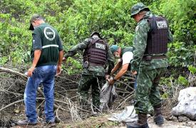 Caranguejo-uçá - Defeso - Andada 2022