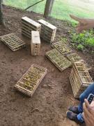 WhatsApp Image 2022-02-25 at 09.41.52