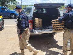 WhatsApp Image 2022-02-25 at 09.41.53 (1)