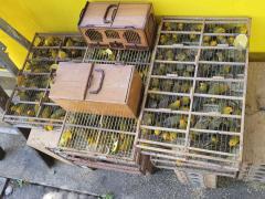 WhatsApp Image 2022-02-25 at 09.41.53 (2)