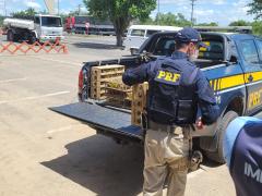 WhatsApp Image 2022-02-25 at 09.41.53