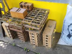 WhatsApp Image 2022-02-25 at 09.41.54