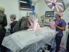 Cirurgia em Arara-azul-de-lear