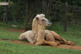 WhatsApp Image 2022-05-14 at 12.00.13