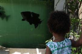 WhatsApp Image 2022-05-14 at 12.00.30