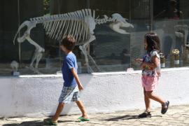 WhatsApp Image 2022-05-14 at 12.00.33