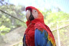 WhatsApp Image 2022-05-14 at 12.00.45