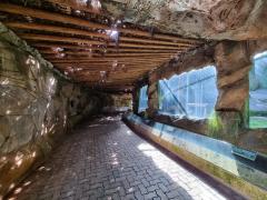 WhatsApp Image 2022-05-14 at 14.07.05 (1)