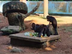 WhatsApp Image 2022-05-14 at 14.07.06