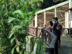 WhatsApp Image 2022-05-14 at 14.07.07