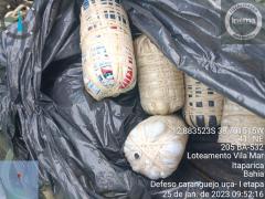 WhatsApp Image 2023-01-25 at 11.09.18 (1)